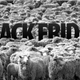 Illustration for article titled All the Black Friday Deals
